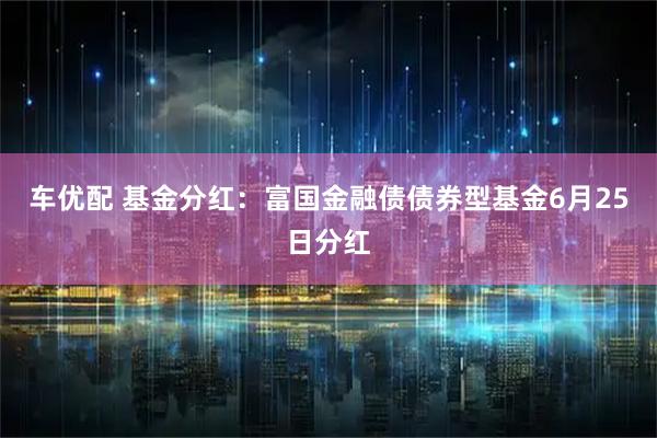 车优配 基金分红：富国金融债债券型基金6月25日分红