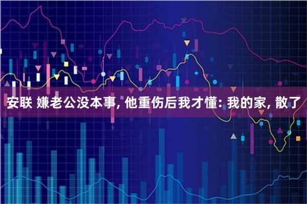 安联 嫌老公没本事, 他重伤后我才懂: 我的家, 散了