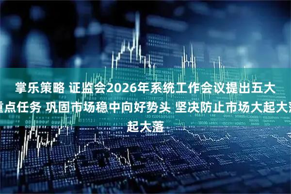 掌乐策略 证监会2026年系统工作会议提出五大重点任务 巩固市场稳中向好势头 坚决防止市场大起大落