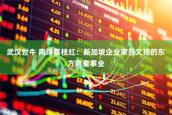 武汉世牛 南洋荔枝红：新加坡企业家吕文扬的东方甜蜜事业