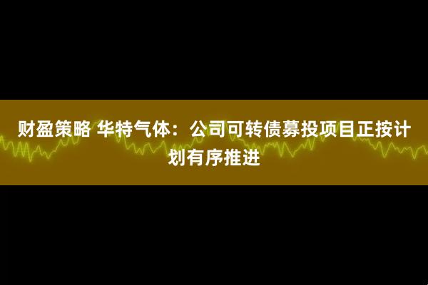 财盈策略 华特气体：公司可转债募投项目正按计划有序推进
