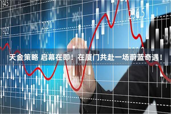 天金策略 启幕在即！在厦门共赴一场蔚蓝奇遇！